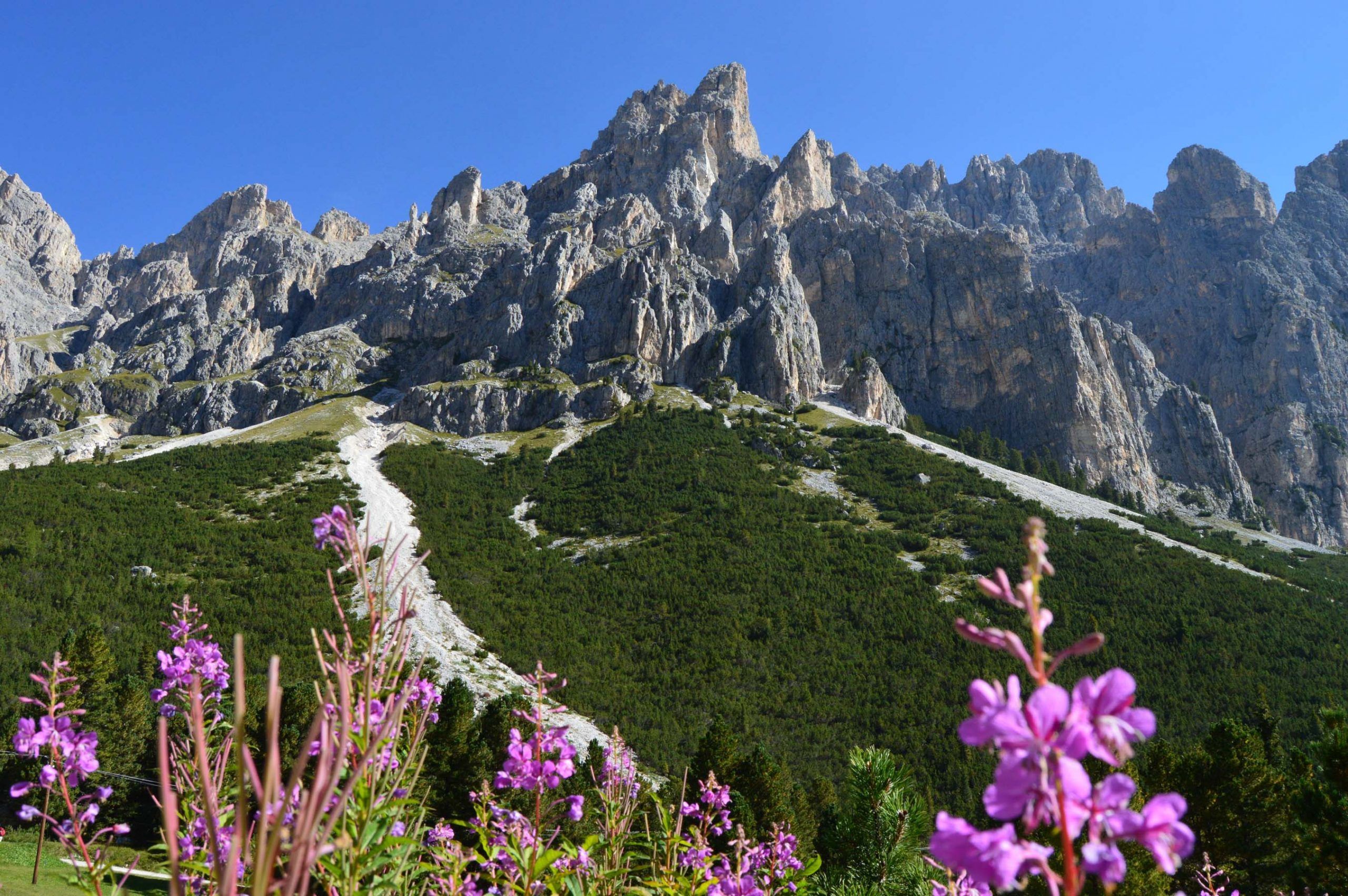 Vajolet Towers