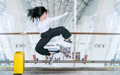 El arte de volar – Curso avanzado del pasajero aéreo