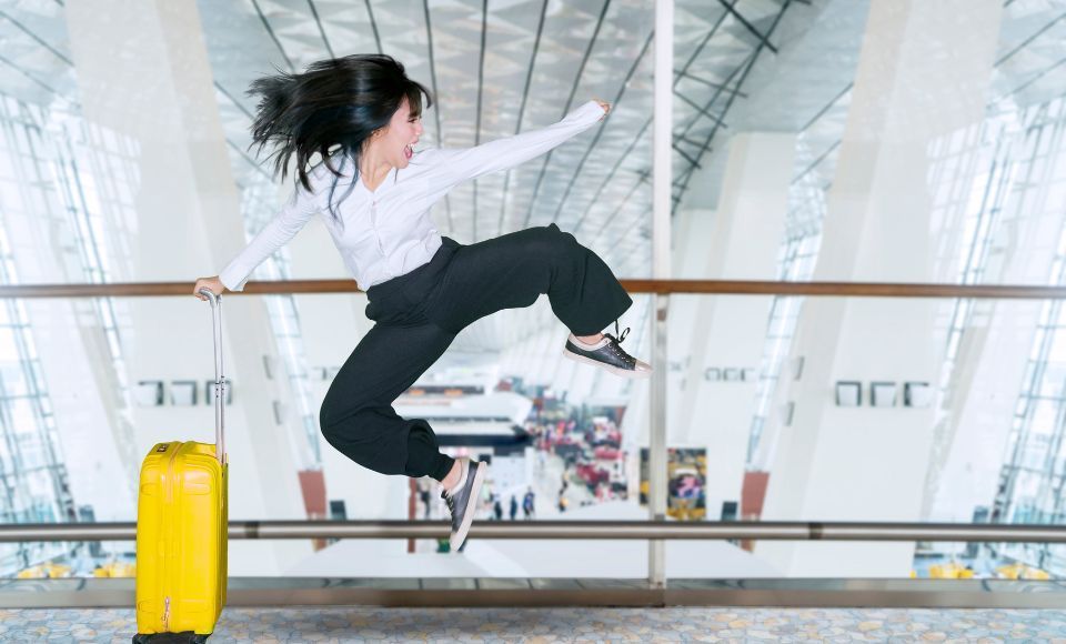 El arte de volar – Curso avanzado del pasajero aéreo