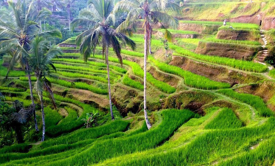 qué ver en Bali en 7 días, itinerario de viaje a Bali