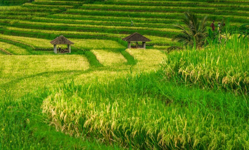 qué ver en Bali, Itinerario Bali