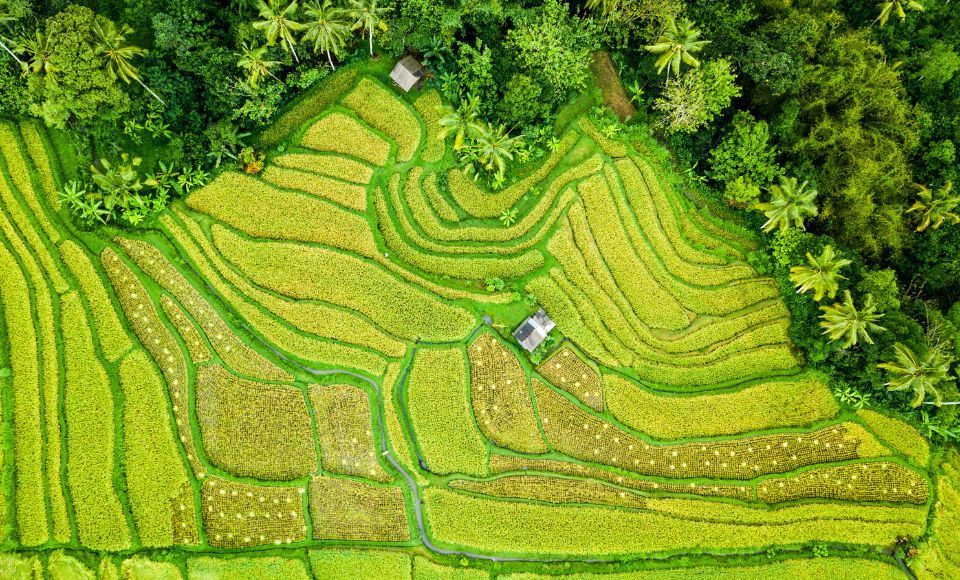 qué ver en Bali, Itinerario Bali