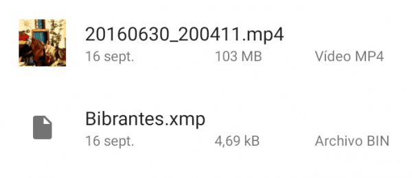 guía para el uso de presets en lightroom