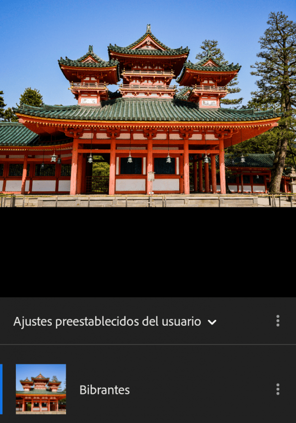 guía para el uso de presets en lightroom