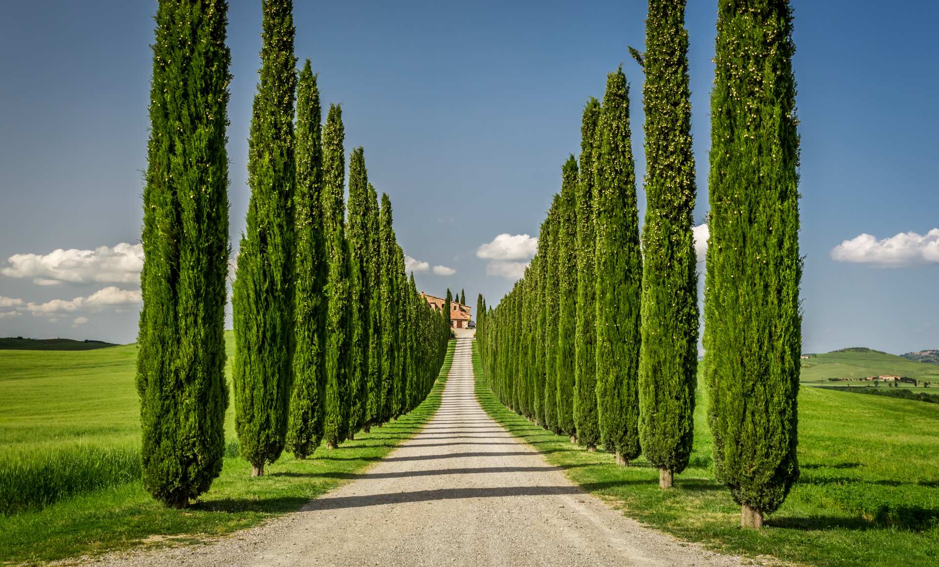 7 días en la Toscana, Itinerario de viaje a la Toscana, Guía de Viaje a Toscana, qué ver en la Toscana, los pueblos más hermosos de Toscana